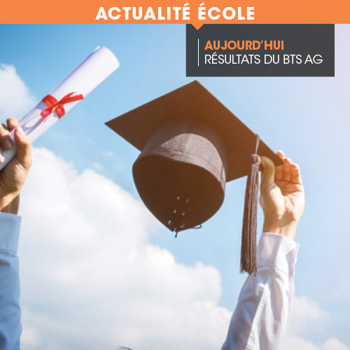 JUILLET JUILLET