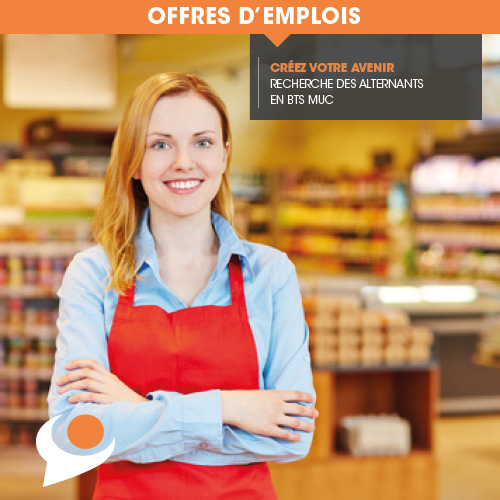 pro format annonce3 pro format annonce3
